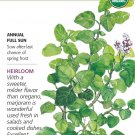 Organic Marjoram Seeds 200 Milligrams Botanical Interests