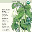 Organic Contender Bush Bean Seeds 20 Grams