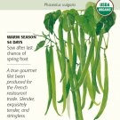 Organic Tavera Bush Bean Seeds 12 Grams