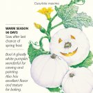 Lumina White Pumpkin Seeds 6 Seeds