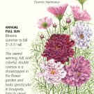 Double Click Blend Cosmos 25 Seeds