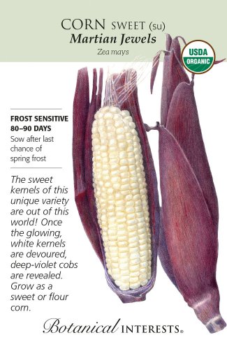 Organic Sweet Martian Jewels Corn Seeds 9 Grams