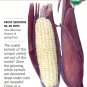 Organic Sweet Martian Jewels Corn Seeds 9 Grams