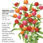 QIS Fiery Sunrise Blend Gomphrena Seeds 25 Seeds