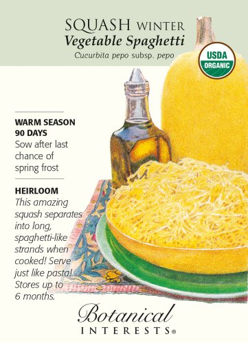 Organic Vegetable Spaghetti Winter Squash Seeds 2.5 grams
