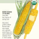 Organic True Gold Sweet Corn Seeds 8 grams