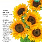 Organic Zohar Sunflower Seeds 20 Seeds