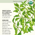 Organic Shishito Chile Pepper 20 Seeds