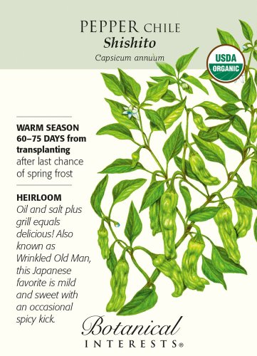 Organic Shishito Chile Pepper 20 Seeds