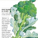 Organic Belstar Hybrid Broccoli Seeds 25 Seeds