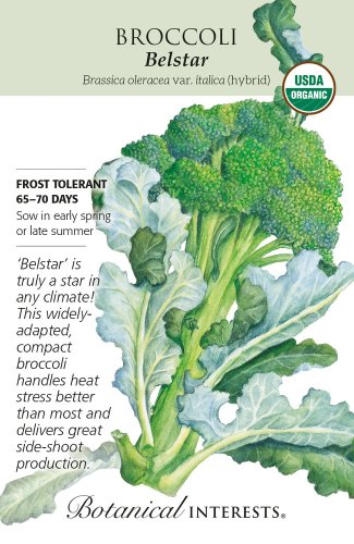 Organic Belstar Hybrid Broccoli Seeds 25 Seeds