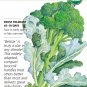 Organic Belstar Hybrid Broccoli Seeds 25 Seeds