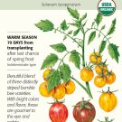 Organic Artisan Bumble Bee Blend Cherry Tomato 15 Seeds