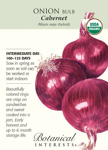 Organic Cabernet Onion Seeds 250 mg