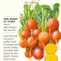 Golden Boy Beet Seeds 1 gram