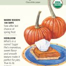 Organic Sugar Pie Pumpkin Seeds 3 grams