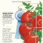 Red Pride Bush Tomato 15 Seeds