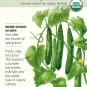 Organic Tasty Green Japanese Cucumber 12 Seeds