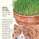 Cat Grass (Oats) Seeds 45 grams