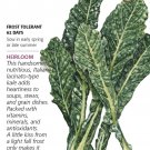 Organic LacinatoDinosaur Kale Seeds 3 Grams Botanical Interests