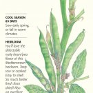 Fava Windsor Broad Bean Seeds 35 grams