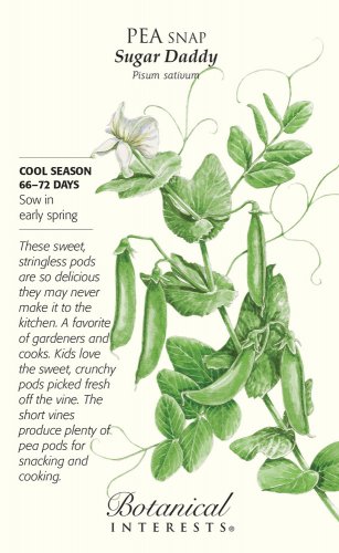 Sugar Daddy Snap Pea Seeds 50 grams