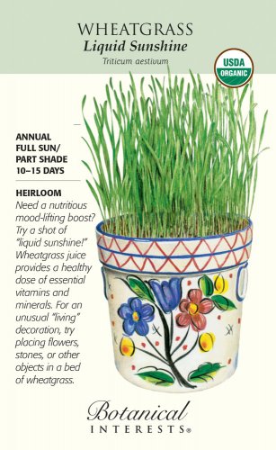 Liquid Sunshine Wheatgrass Seeds 50 grams Organic