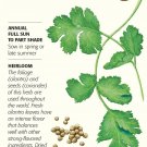 Organic Long Standing Cilantro Seeds 12 grams Botanical Interests