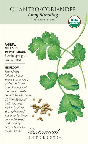 Organic Long Standing Cilantro Seeds 12 grams Botanical Interests