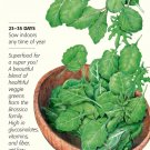 Superfoods Baby Greens Seeds 12 grams Brassica