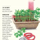 Organic Peas for Shoots Baby Greens Seeds 50 grams