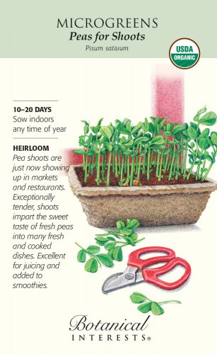 Organic Peas for Shoots Baby Greens Seeds 50 grams