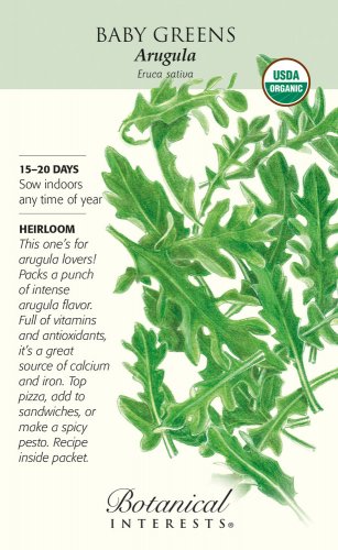 Organic Baby Greens Arugula Seeds 3 grams