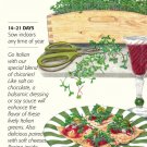 Italian Amaro Blend Microgreens Seeds 6 grams