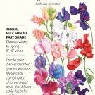 Elegance Blend Sweet Pea Seeds 3 Grams