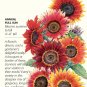 Drop Dead Red Sunflower Seeds 3 Grams