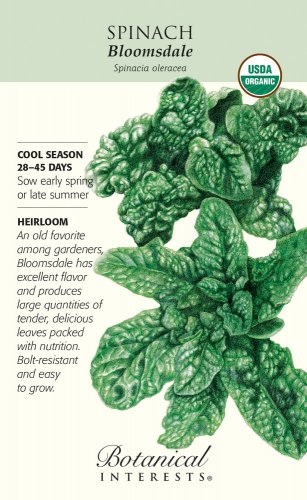 Bloomsdale Spinach Seeds 8 grams Heirloom