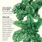 Bloomsdale Spinach Seeds 8 grams Heirloom
