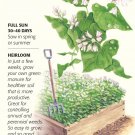 Cover Crop Common Buckwheat Seeds 65 grams