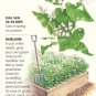 Cover Crop Common Buckwheat Seeds 65 grams