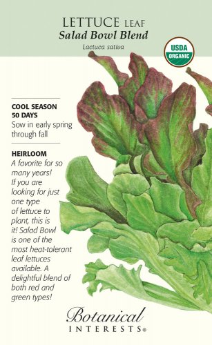 Organic Salad Bowl Blend Leaf Lettuce Seeds 3 Grams