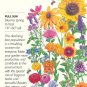 Save the Bees Mix Seeds 12 grams Annual