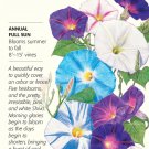Something Old, Something New Morning Glory Seeds 6 grams