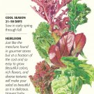 Mesclun Gourmet Baby Greens Lettuce Seeds 4 g Organic Botanical Interests
