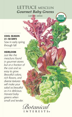 Mesclun Gourmet Baby Greens Lettuce Seeds 4 g Organic Botanical Interests
