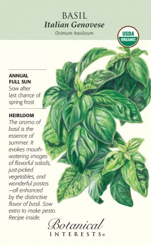 Italian Genovese Basil Seeds6 gramsCertified Organic