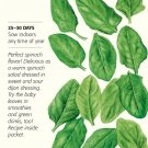 Spinach Baby Greens Seeds 10 grams
