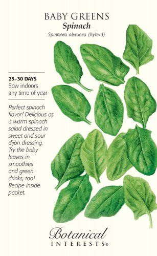 Spinach Baby Greens Seeds 10 grams