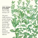 Organic Sweet Lorane Improved Cover Crop Fava Bean Seeds 40 grams