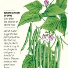 Organic Provider Bush Bean Seeds 50 grams